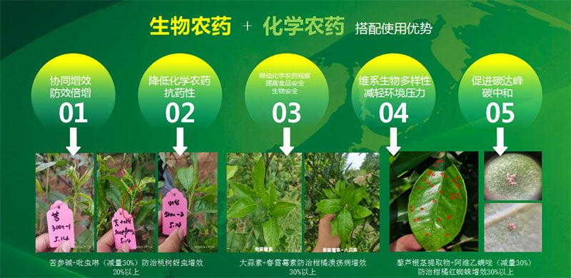 新朝陽(yáng)在第六屆中國(guó)農(nóng)藥行業(yè)市場(chǎng)和銷售高峰論壇做“生物農(nóng)藥+化學(xué)農(nóng)藥，引領(lǐng)植保市場(chǎng)未來”主題報(bào)告