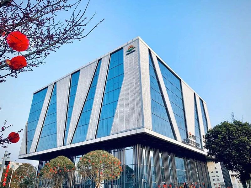 新突破！新朝陽新型脫葉劑獲巴西專利授權(quán)