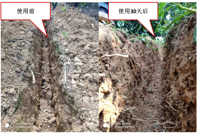 “土壤板結(jié)克星”：土壤調(diào)理劑你了解多少？