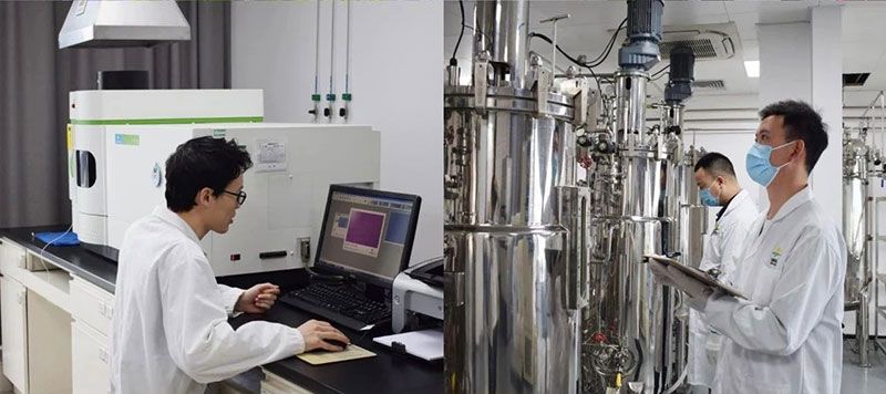 打造新朝陽生物科技“五張名片”，服務(wù)農(nóng)業(yè)高質(zhì)量發(fā)展！