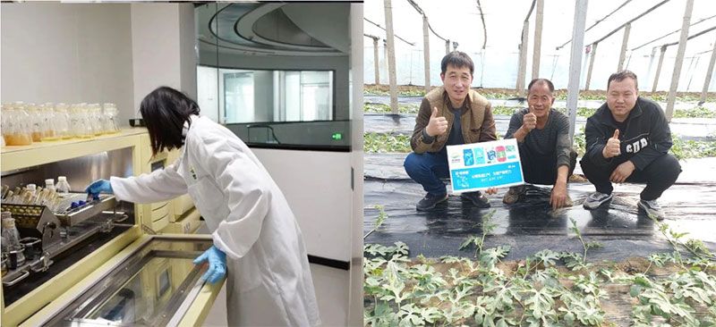 打造新朝陽生物科技“五張名片”，服務(wù)農(nóng)業(yè)高質(zhì)量發(fā)展！