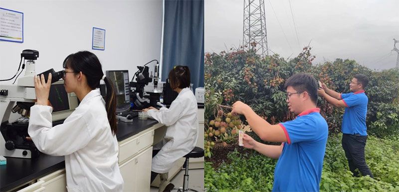 打造新朝陽生物科技“五張名片”，服務(wù)農(nóng)業(yè)高質(zhì)量發(fā)展！