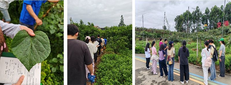 首個！中國農(nóng)業(yè)大學攜手新朝陽啟動“朝陽稼穡計劃”