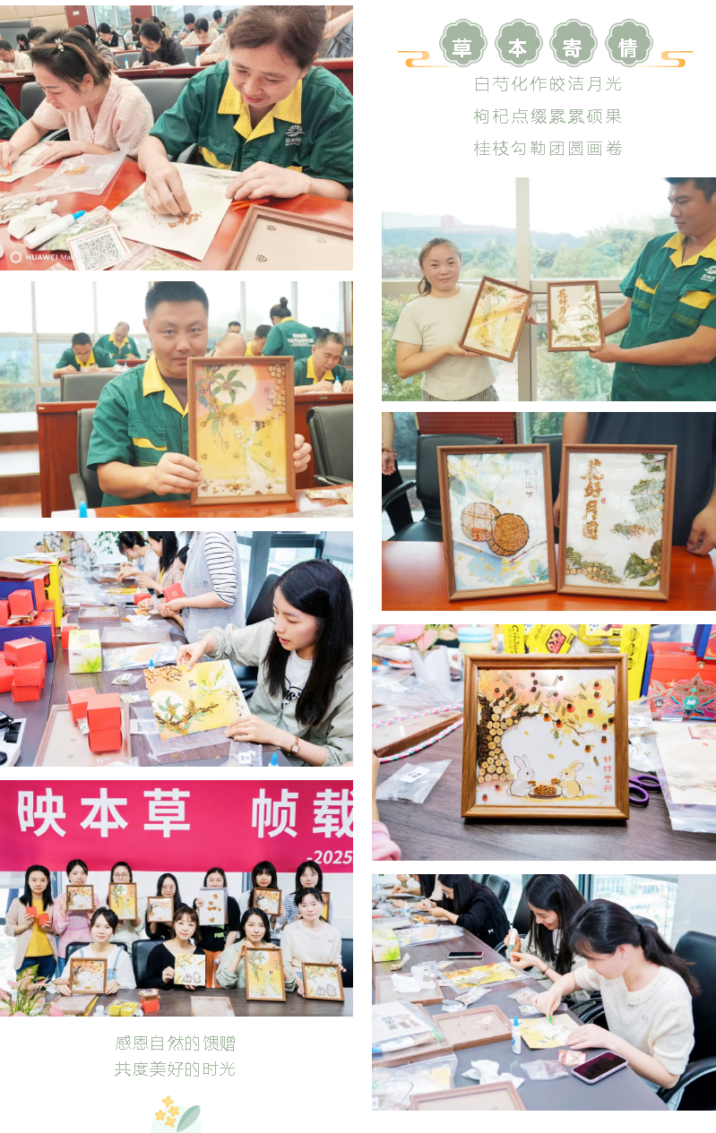 月滿人團圓 朝陽共此時