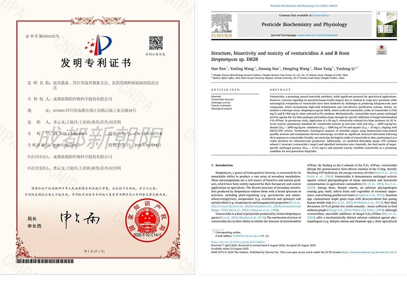 新突破｜新朝陽在生物技術(shù)防治稻瘟病研究方面取得新進展