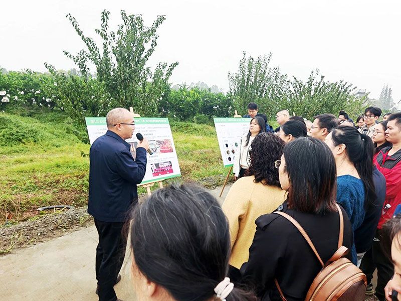 新朝陽(yáng)生物技術(shù)助力綠色防控，推動(dòng)柑橘產(chǎn)業(yè)綠色高質(zhì)量發(fā)展