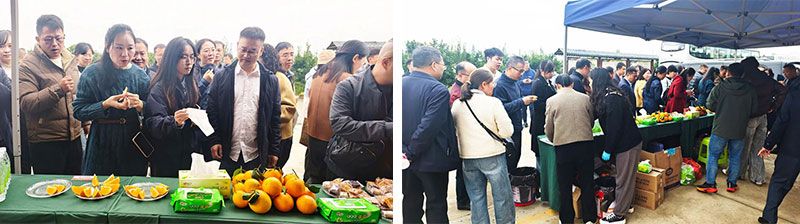 新朝陽(yáng)生物技術(shù)助力綠色防控，推動(dòng)柑橘產(chǎn)業(yè)綠色高質(zhì)量發(fā)展